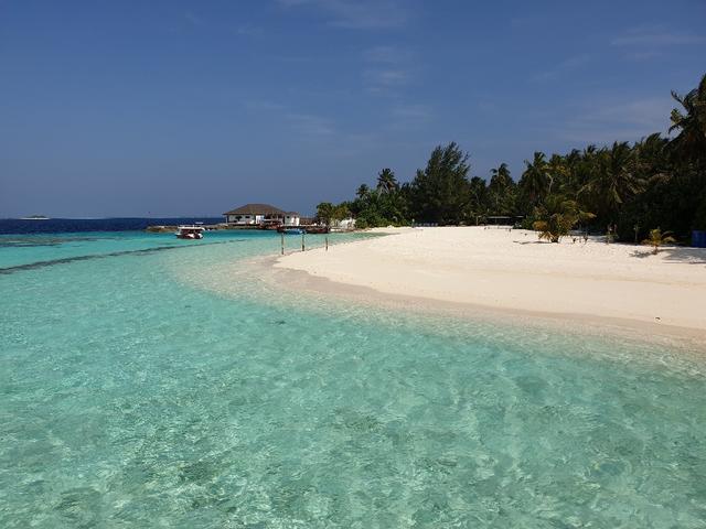 Smile Travel Brugherio - 1