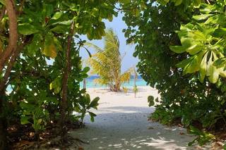 Smile Travel Brugherio - 6