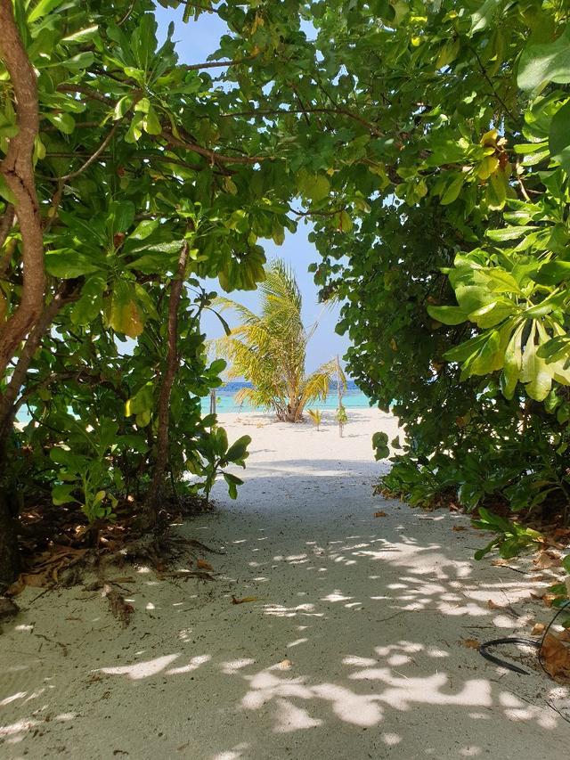 Smile Travel Brugherio - 2