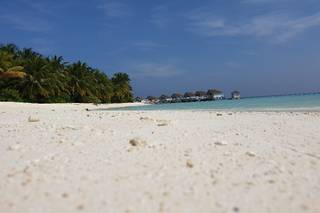 Smile Travel Brugherio - 7