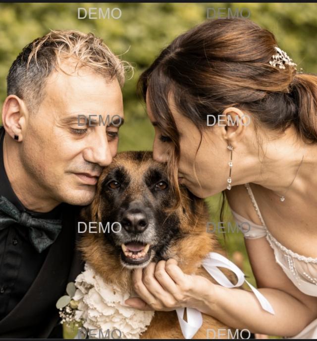 Colonna Wedding Studio - 2