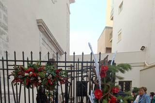 Farenella Fiori - 12