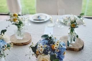 Lidia Design - 14