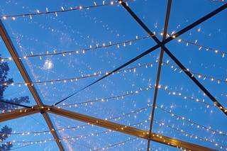 Pura Lighting - 5