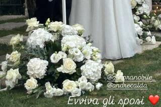 Tironi Bruno Fiori - 5