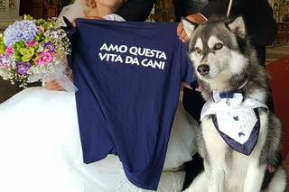 Zampa5stelle - 8
