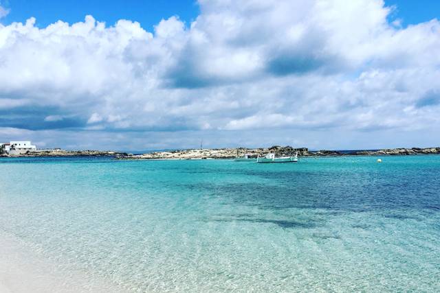 Istante Viaggi San Benedetto Po 2