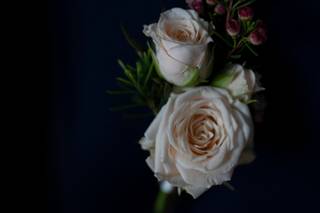 Floricoltura Bosco - 20