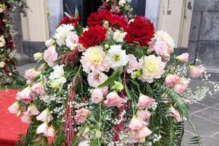Sintonia Flowers - 25