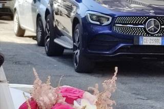 Talento wedding - 7