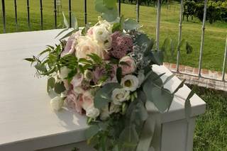 Tenuta La Tassera - 11