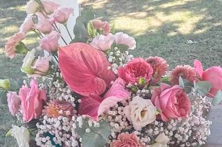 Crespo Garden - 8