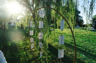 Shubi Hubi Studio - 15