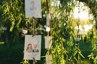 Shubi Hubi Studio - 16