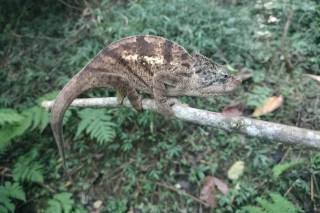 Fantasy Travel Shop - 5