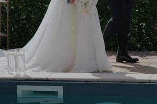 Dino Volpe Photographer - 5