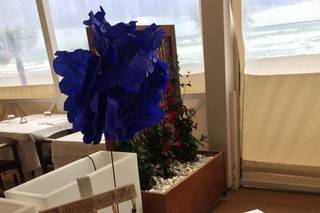 Alma Guerrini Wedding Planner - 17