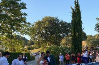 Salt Peanuts Show - 8