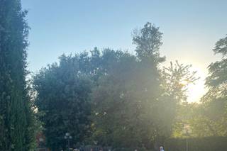 Salt Peanuts Show - 9