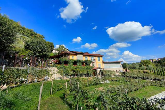 Tenuta Casa Virginia 1