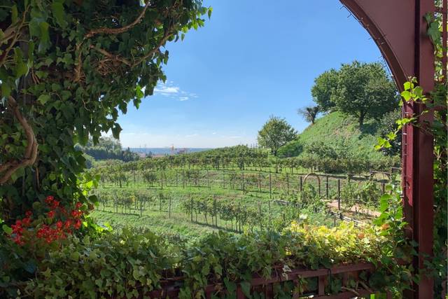Tenuta Casa Virginia 4
