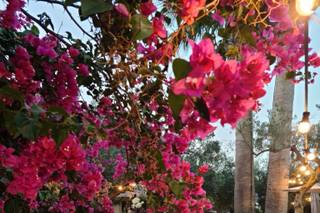 Amuri Sicilianu - 13