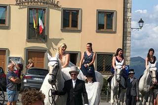 Carrozze Franchini - 7