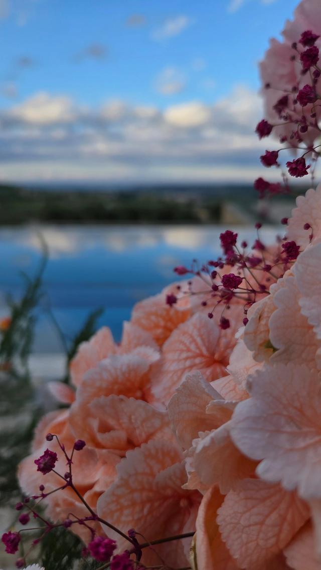 L'Isola Verde Floral Design - 2