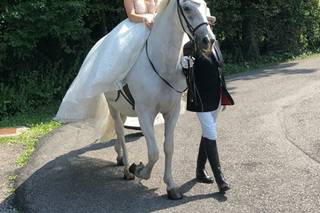 Carrozze Franchini - 8