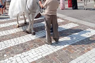 Carrozze Franchini - 9