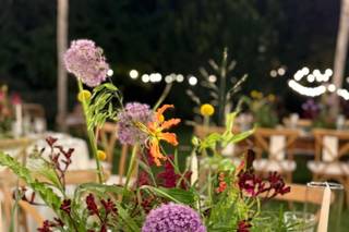 Via Col Vento Eventi - 5