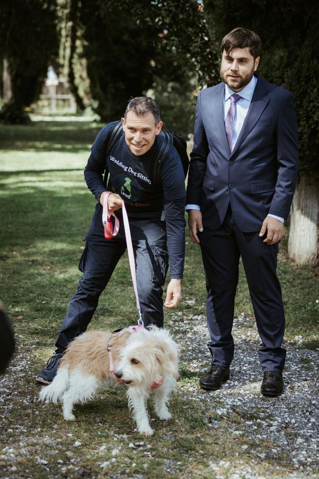 Le Cat e Dog Sitter - Wedding - 2