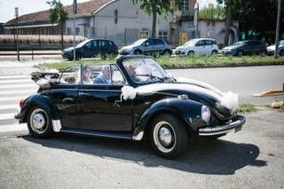 Maggiolone Piero - 6