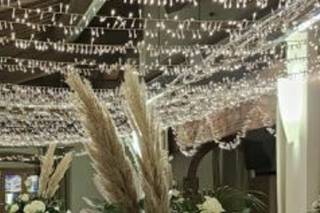 Il giardino delle meraviglie - 25