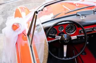 Il giardino delle palme - 9