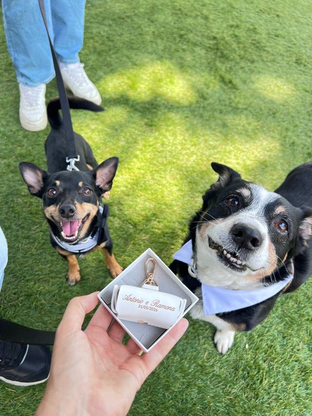 Silvia Wedding Dog Sitter - 1