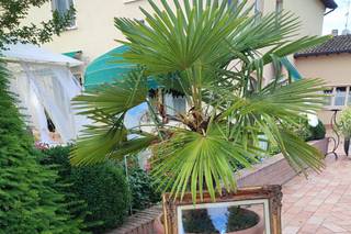 Relais Ristorante L'Anatra - 24