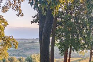 I Due Buoi - Villa Guazzo Candiani - 7