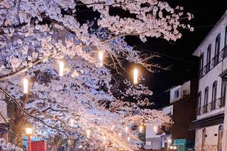 Viaggi da Raccontare - 6