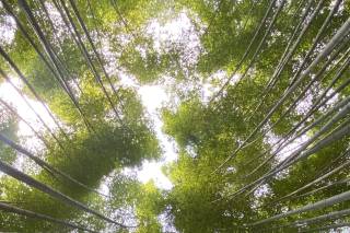 Viaggi da Raccontare - 7