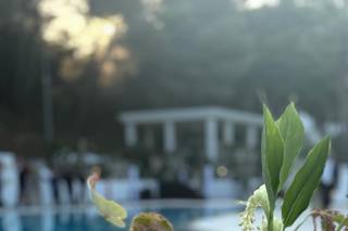 Exev Exclusive Events - 6