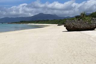 Davide Dabbene - Consulente CartOrange - 11