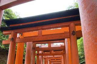 Davide Dabbene - Consulente CartOrange - 13