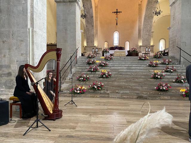 Elena Cacciagrano arpista - 1