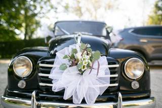 Il Fiore di Maynard Maria Veronica - 19