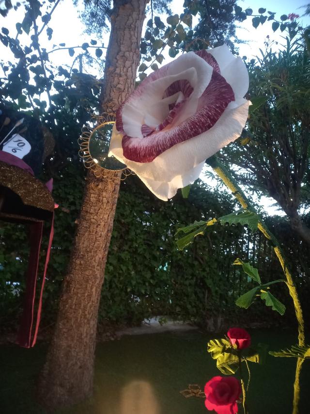 Jessica Fildi Events - 2