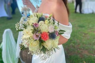 Doda Flores - 3