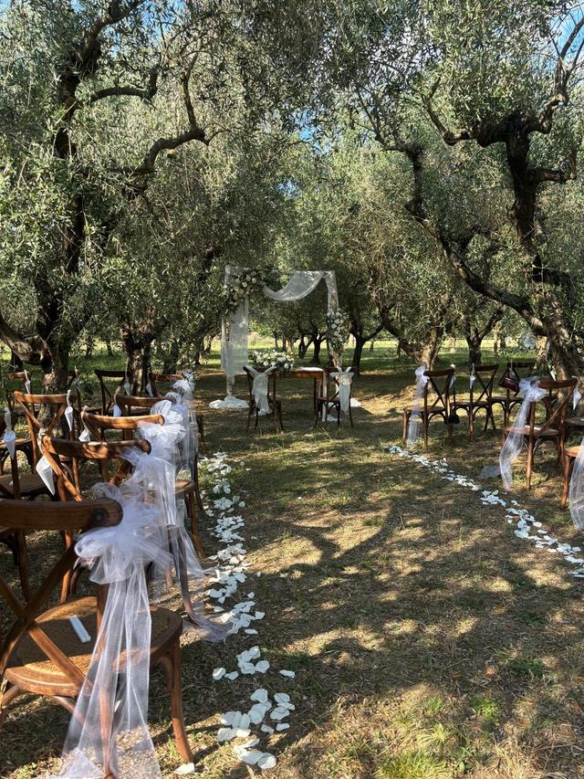 Sirius Wedding - 4