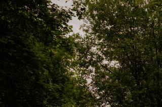 Davide Dusnasco - 19