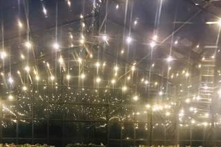 Ristorante Vinicio - 14